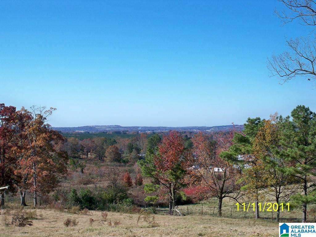 1511 Burgett Road Altoona, AL 35952 - Photo 34 of 38 Gallery Image 34