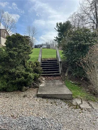 a view of a yard with plants and trees