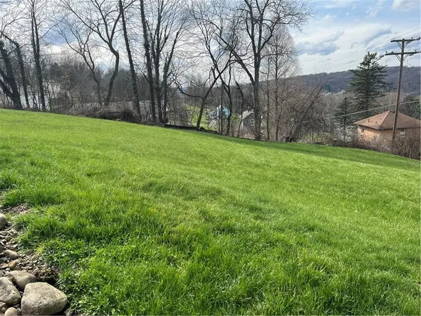 a view of a backyard with large trees