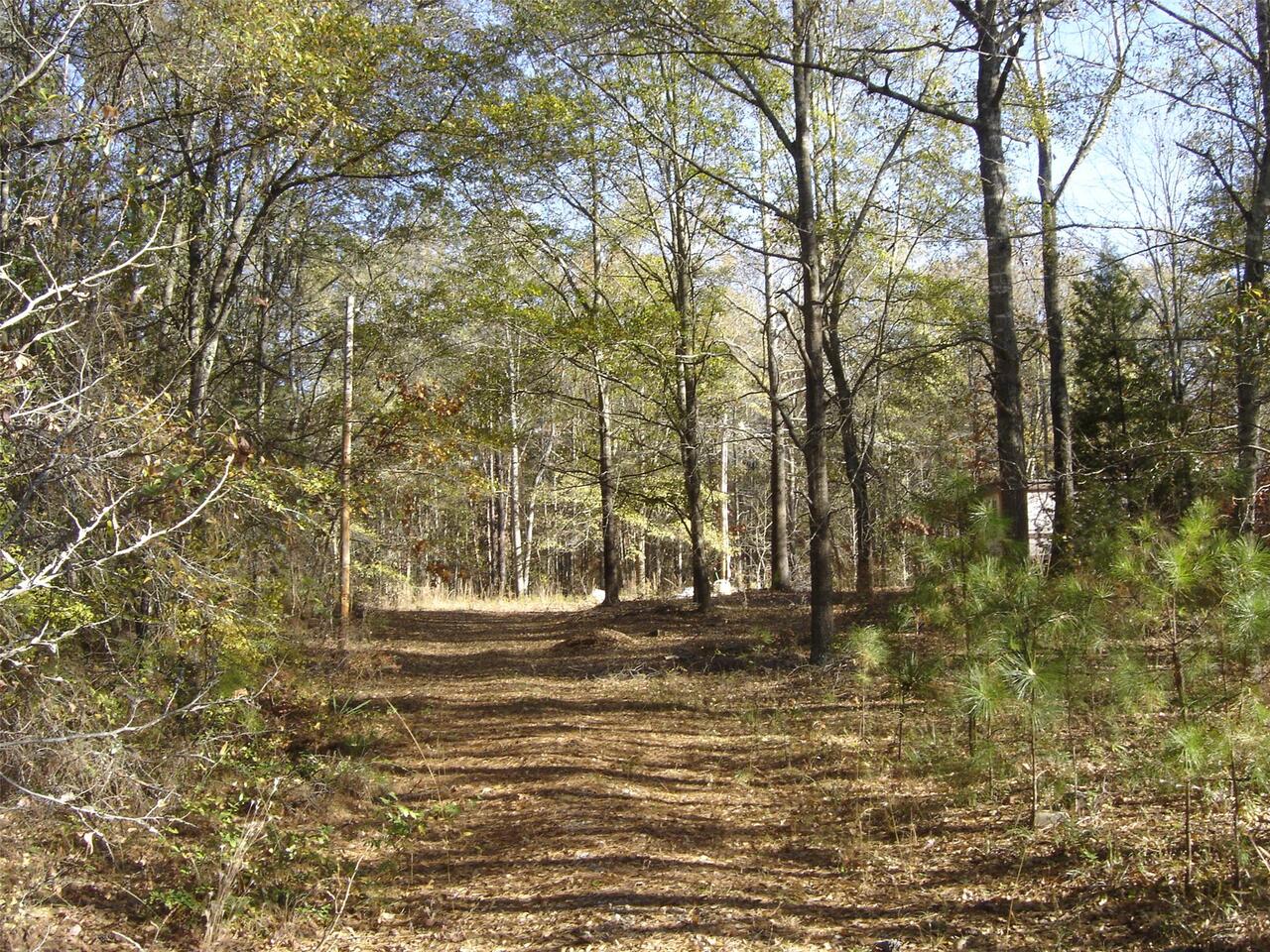 210 Harkness Road Jackson, GA 30233 - Photo 1 of 1 a view of outdoor space and yard
