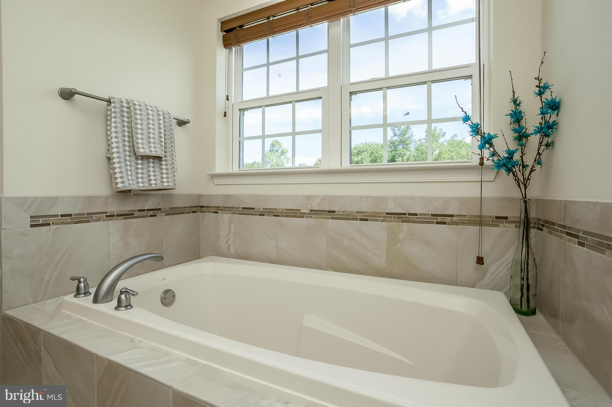 3000 Bender Ridge Court Baltimore, MD 21234 - Photo 15 of 28 Bath (Master)
