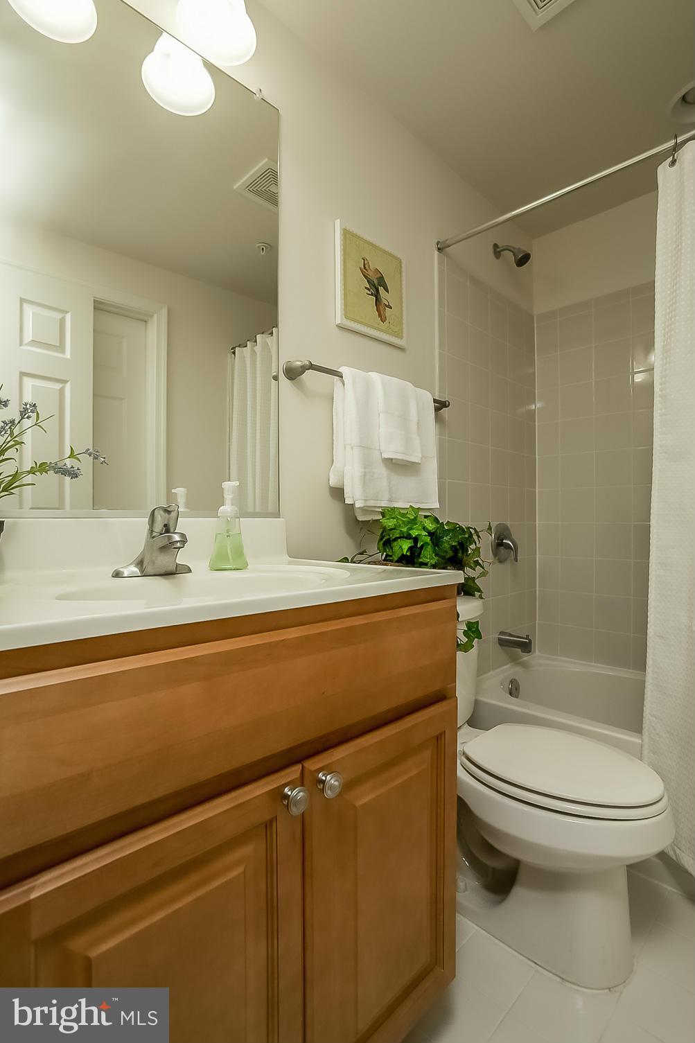 3000 Bender Ridge Court Baltimore, MD 21234 - Photo 23 of 28 Lower Level Full Bath
