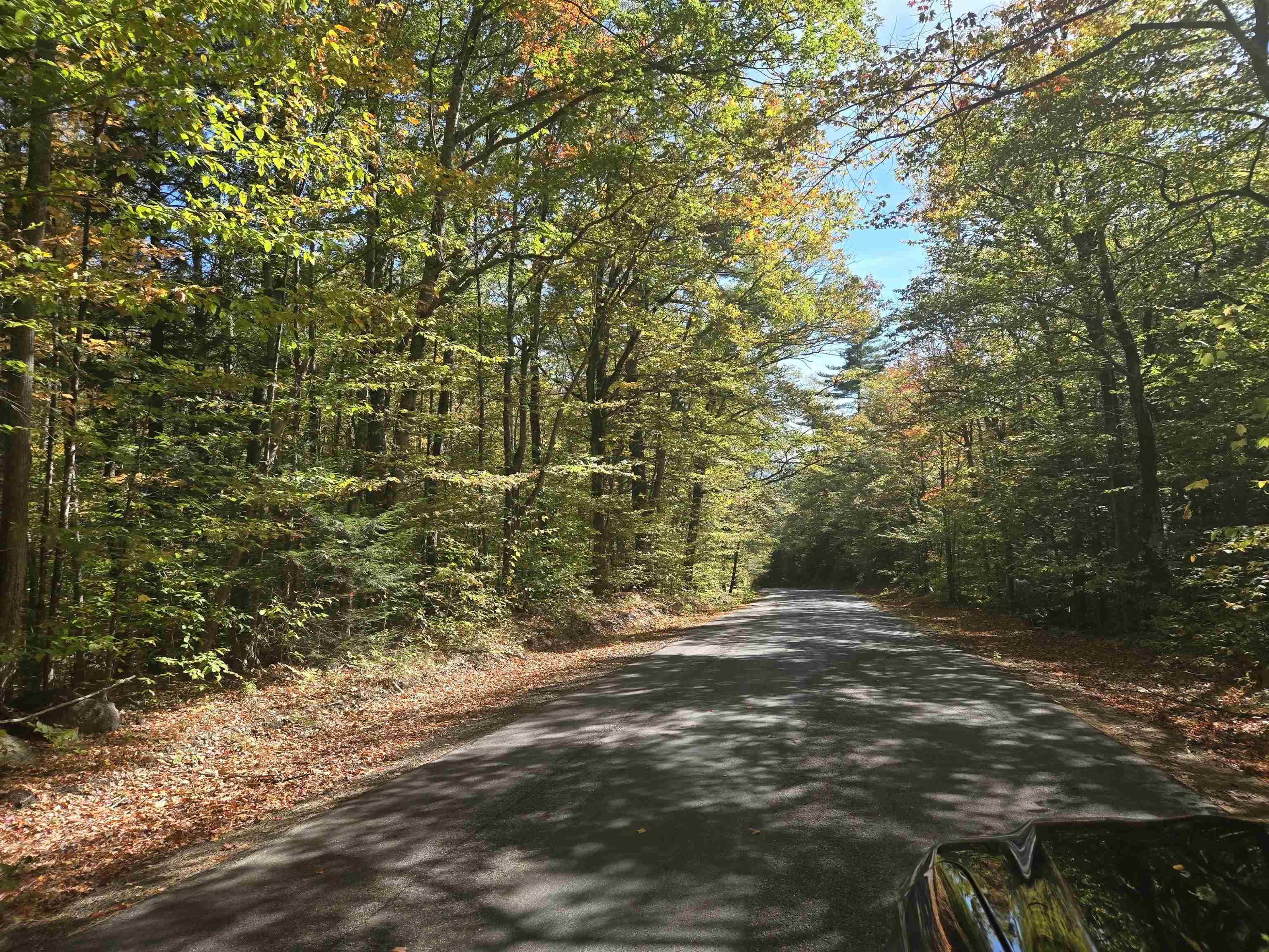 0 Thorn Hill Road, Unit 54L0E Intervale, NH 03845 - Photo 11 of 20