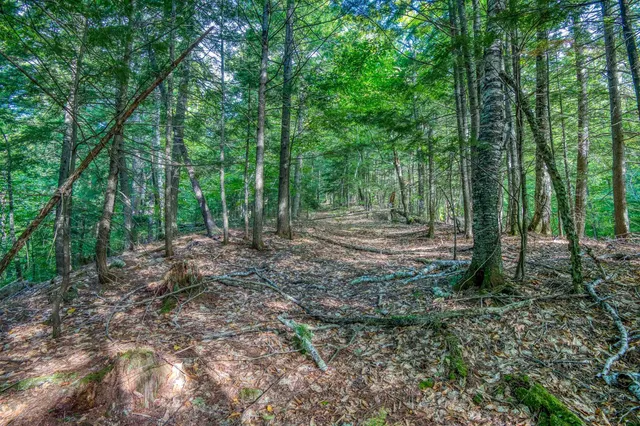 $350,000 | 0 Thorn Hill Road, Unit 54L0E, Intervale, NH 03845