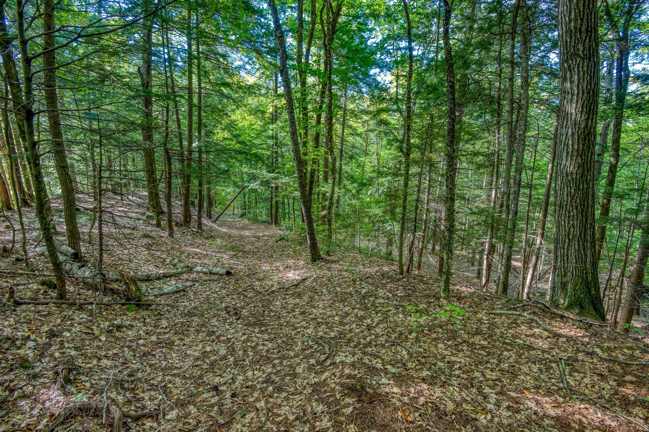 0 Thorn Hill Road, Unit 54L0E Intervale, NH 03845 - Photo 13 of 20