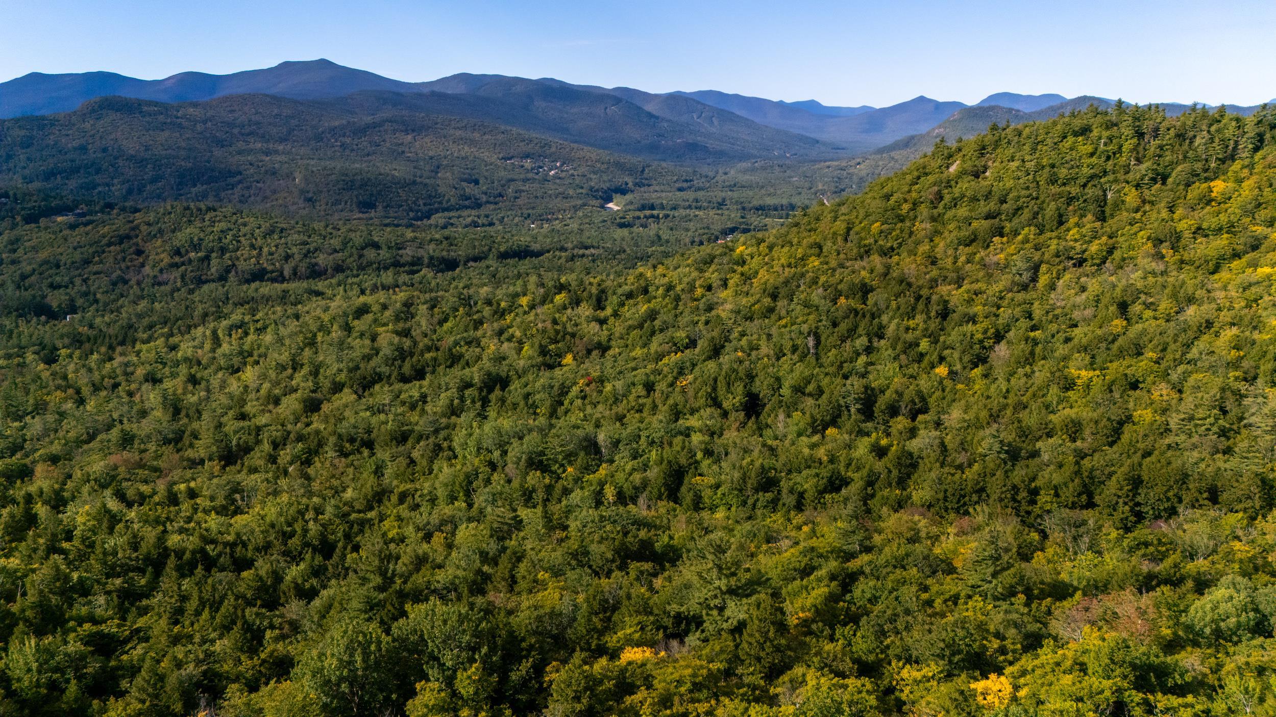 0 Thorn Hill Road, Unit 54L0E Intervale, NH 03845 - Photo 16 of 20