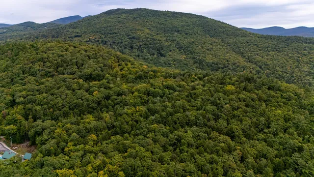 $350,000 | 0 Thorn Hill Road, Unit 54L0E, Intervale, NH 03845