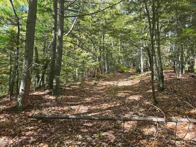 $350,000 | 0 Thorn Hill Road, Unit 54L0E, Intervale, NH 03845
