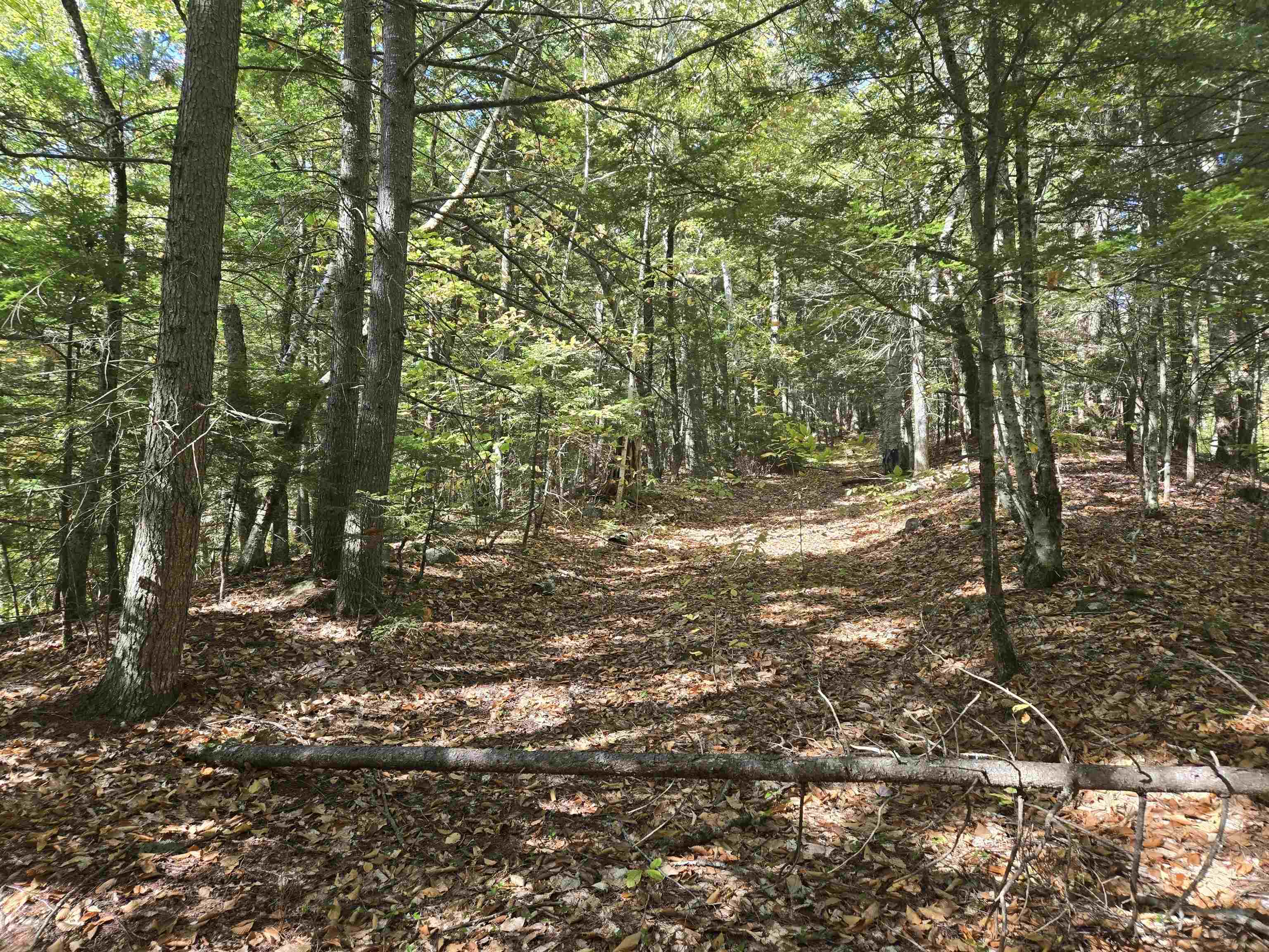 0 Thorn Hill Road, Unit 54L0E Intervale, NH 03845 - Photo 5 of 20