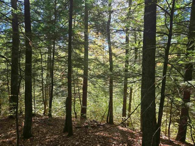 $350,000 | 0 Thorn Hill Road, Unit 54L0E, Intervale, NH 03845