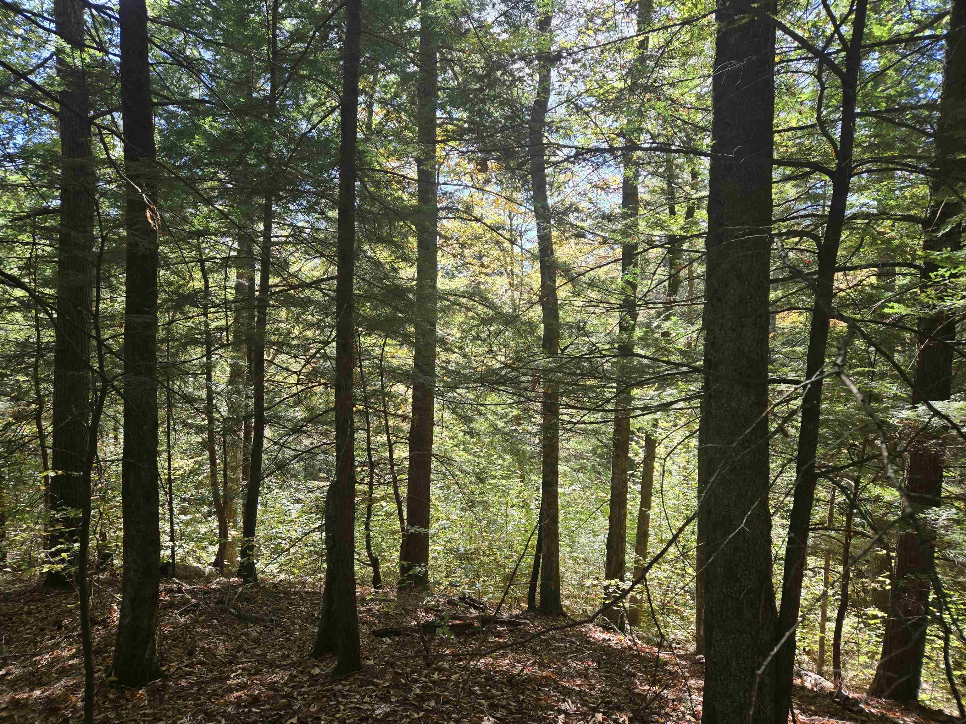 0 Thorn Hill Road, Unit 54L0E Intervale, NH 03845 - Photo 8 of 20