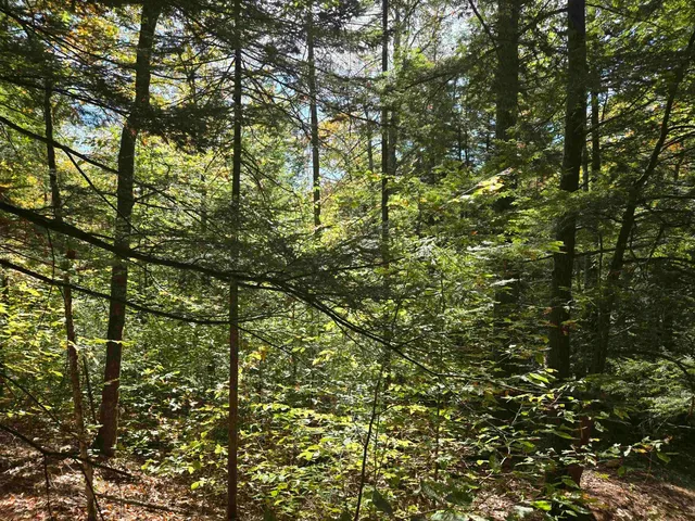 $350,000 | 0 Thorn Hill Road, Unit 54L0E, Intervale, NH 03845