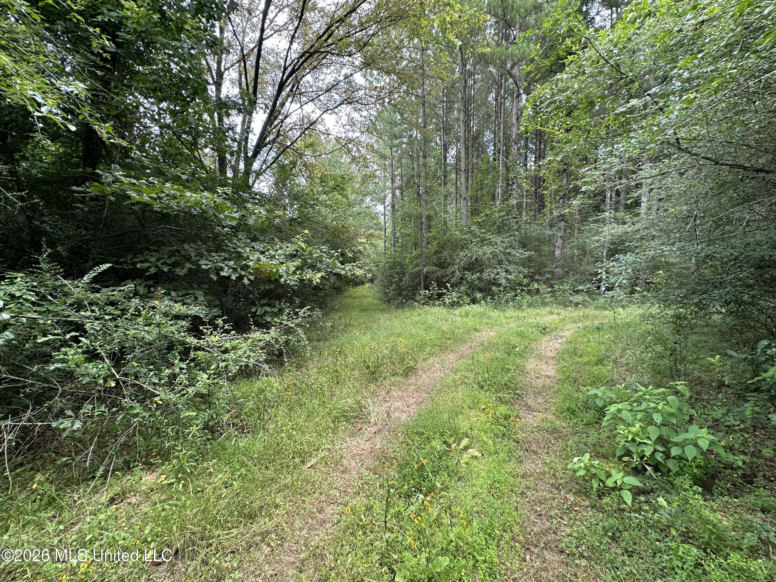 Smith County Road Pulaski, MS 39152 - Photo 27 of 47 IMG_7015