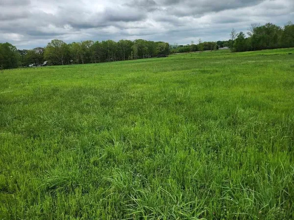 $70,000 | 0 Indian Creek Road, Huntland, TN 37345