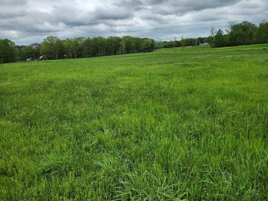 0 Indian Creek Road Huntland, TN 37345 - Photo 2 of 4 a view of a big yard with plants and large trees