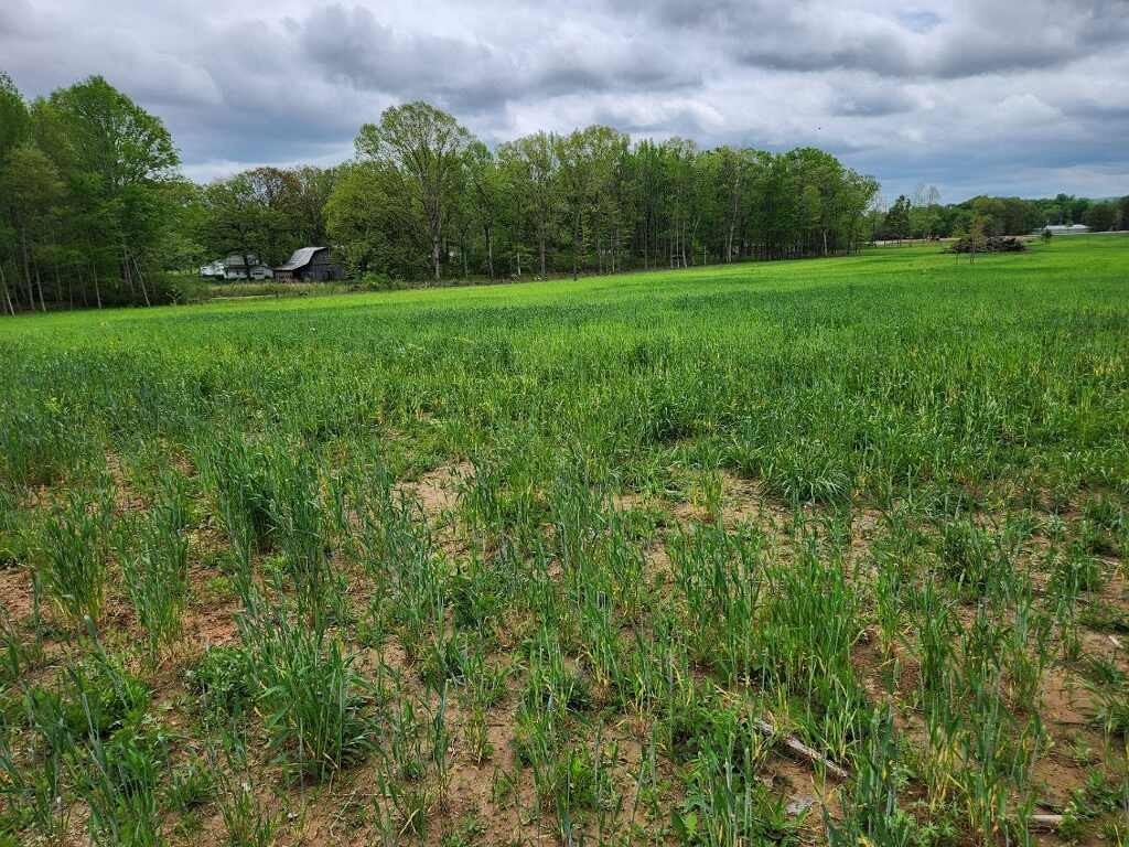 0 Indian Creek Road Huntland, TN 37345 - Photo 3 of 4 a view of field with green space in back