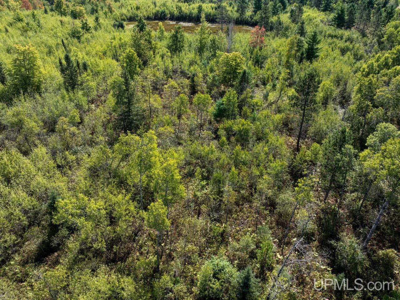 14-ac Lind Road Crystal Falls, MI 49920 - Photo 7 of 22 Gallery Image 7