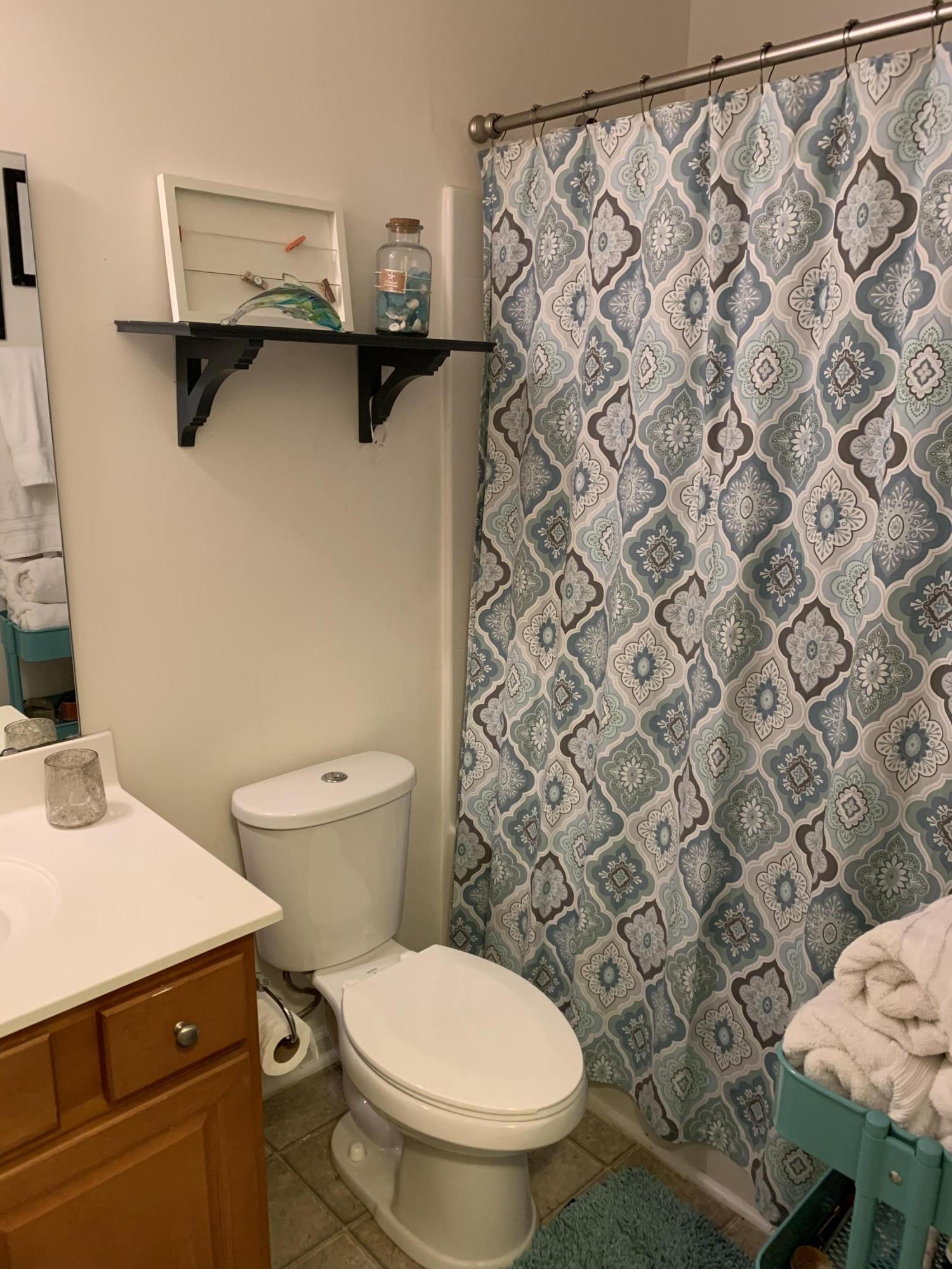 3645 Locklear Lane Mount Pleasant, SC 29466 - Photo 16 of 20 Hall Bath