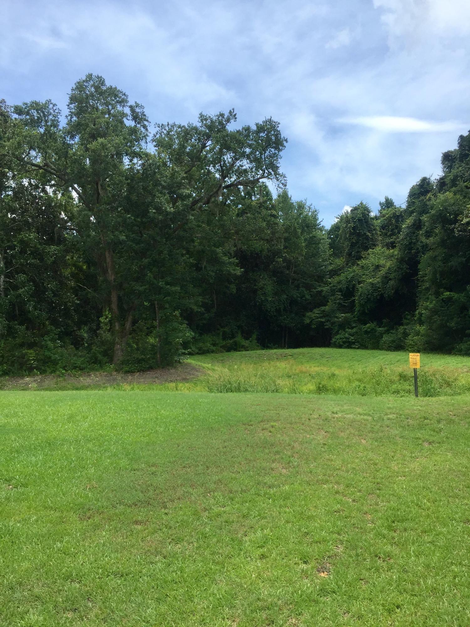 3645 Locklear Lane Mount Pleasant, SC 29466 - Photo 20 of 20 back yard view