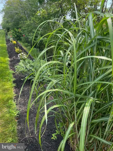 $639,900 | 38610 Sunflower Street, Millville, DE 19967