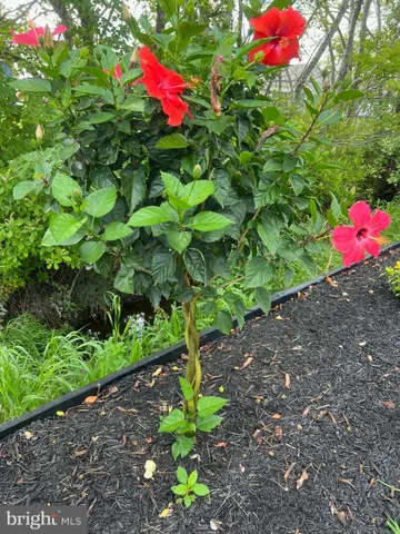 $639,900 | 38610 Sunflower Street, Millville, DE 19967