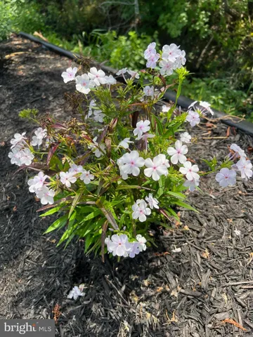 $639,900 | 38610 Sunflower Street, Millville, DE 19967