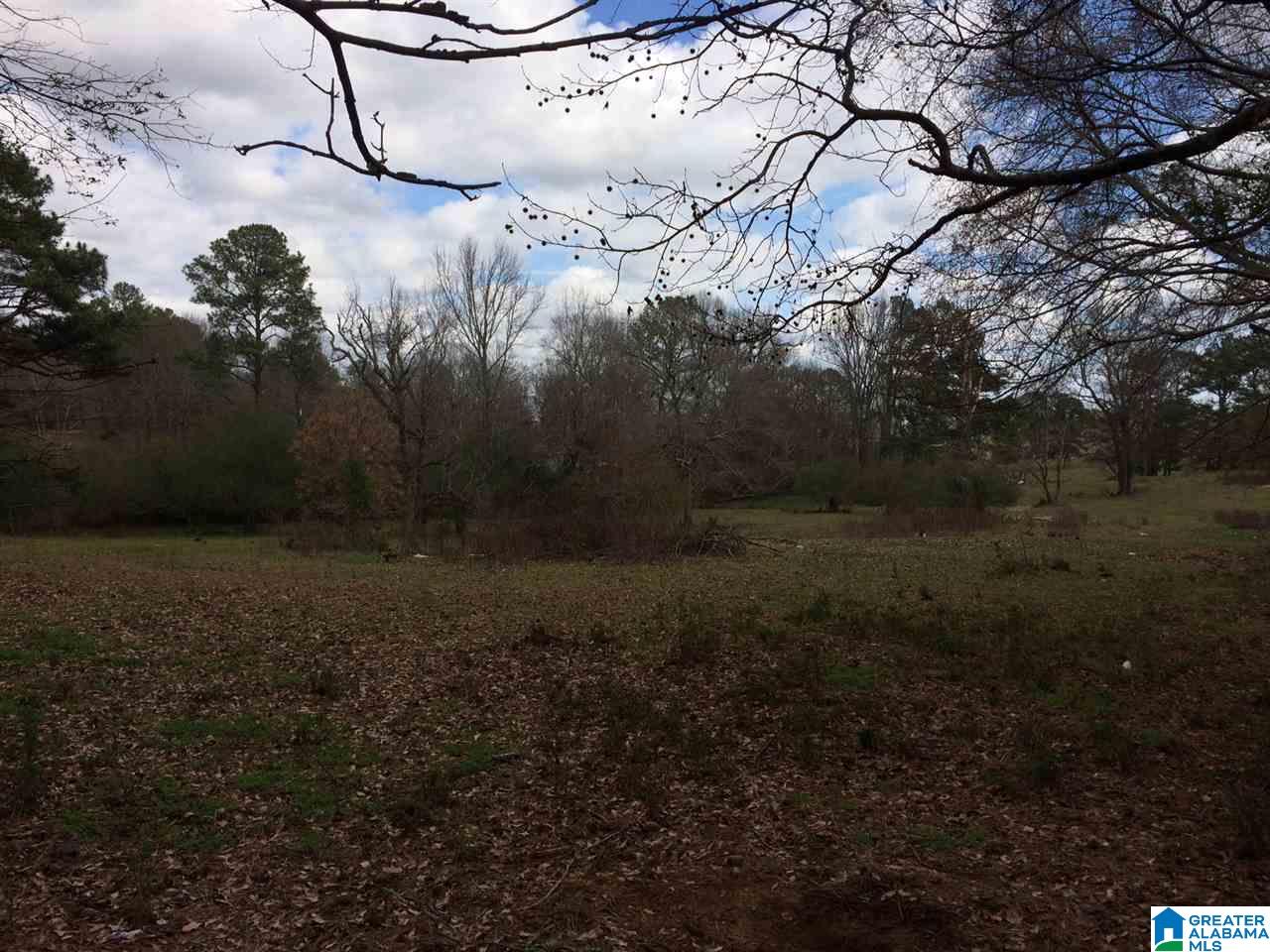 769 Chandler Mountain Road Steele, AL 35987 - Photo 38 of 41