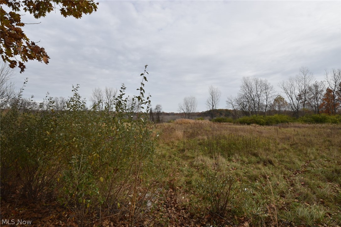 9411 Hillside Road Independence, OH 44131 - Photo 5 of 6