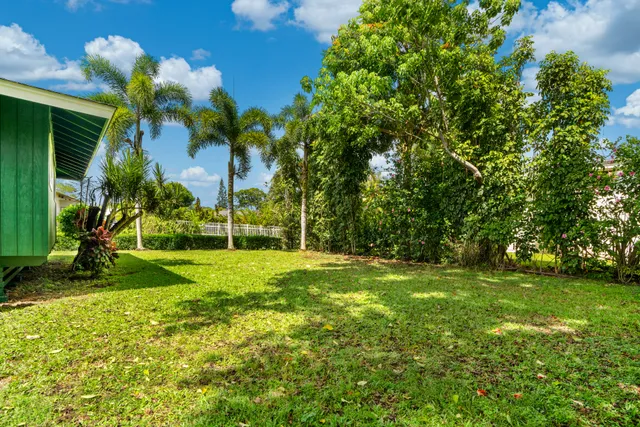 a view of a tree in front of a house