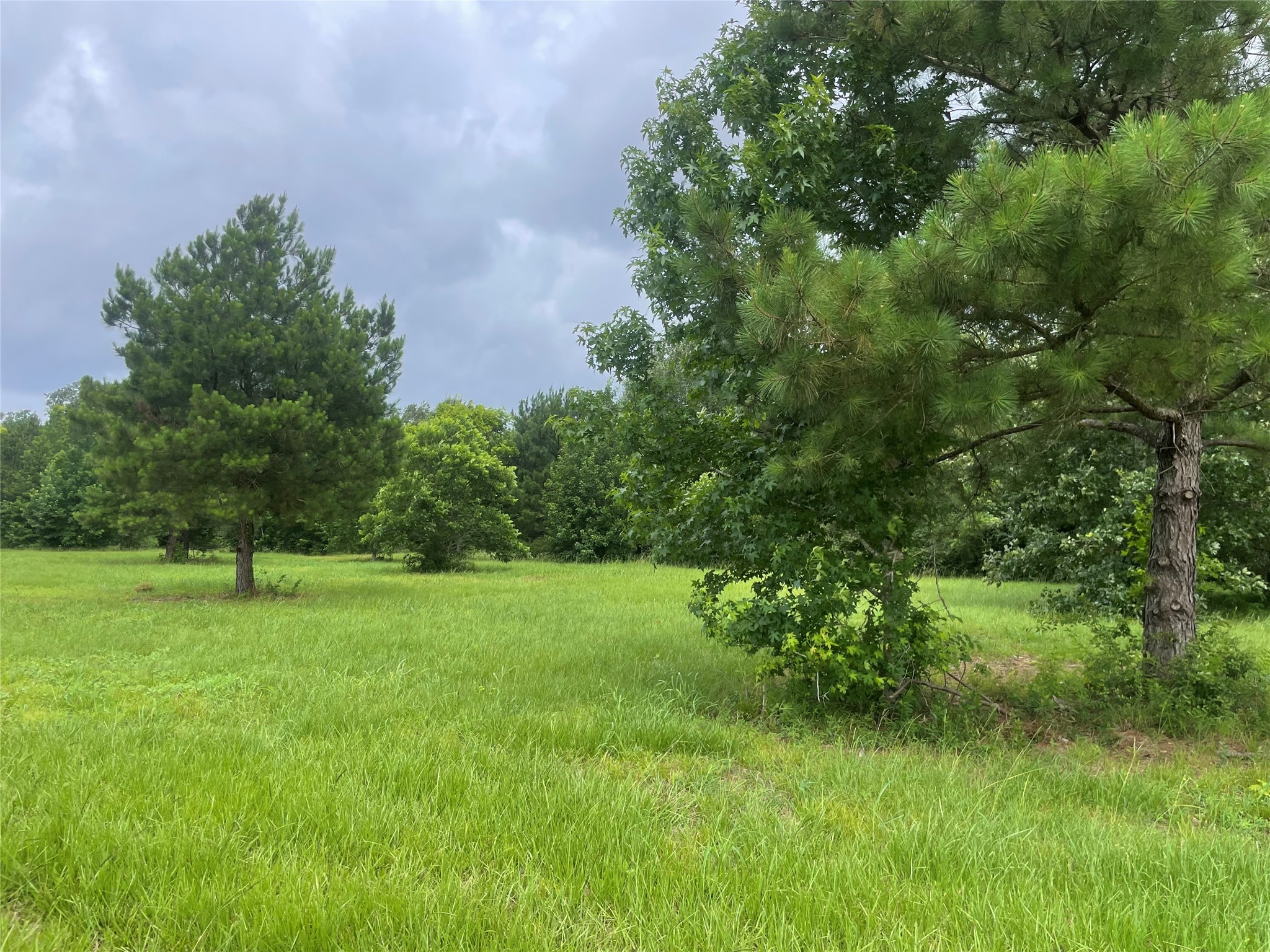977 Tafelski Road New Waverly, TX 77358 - Photo 4 of 10