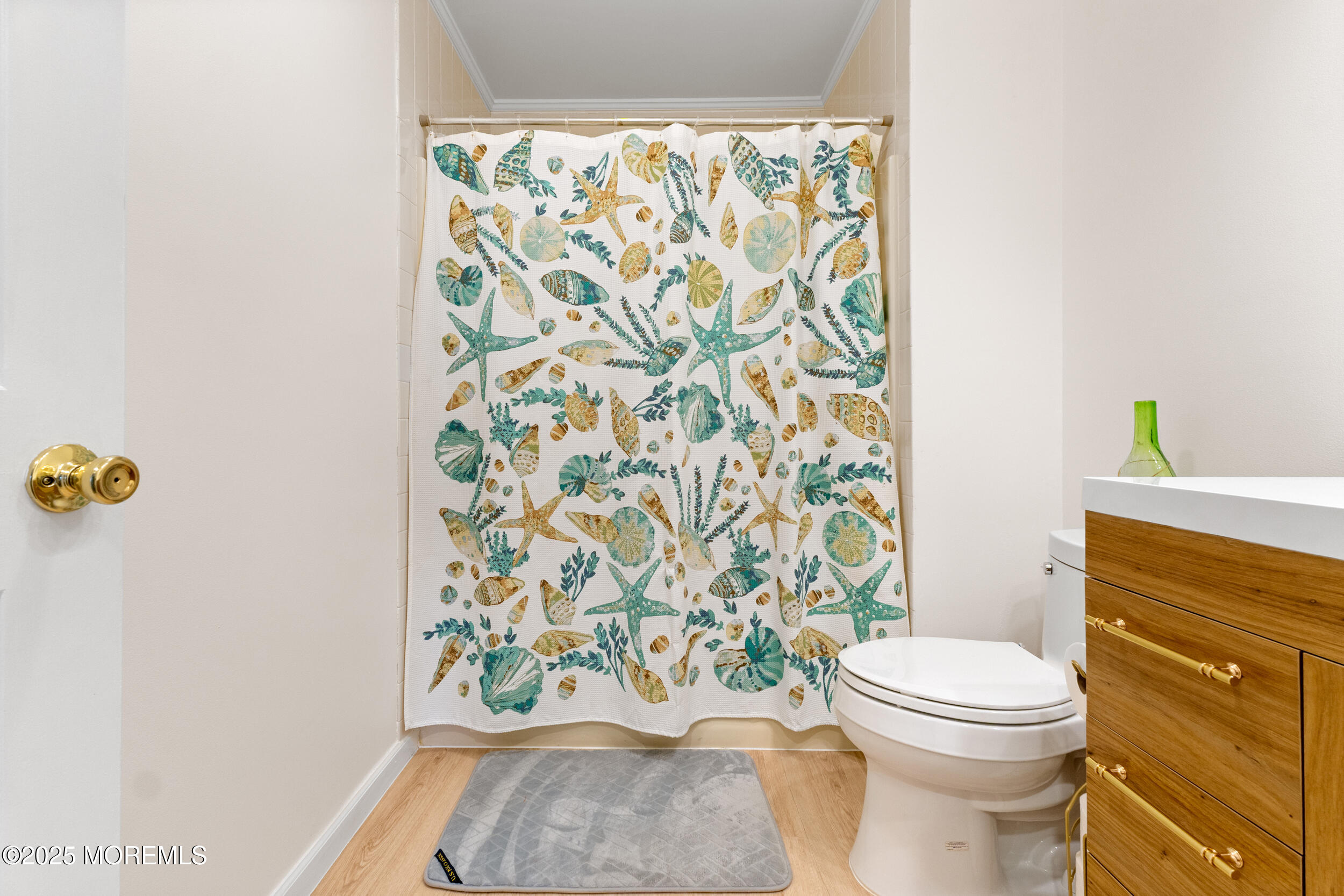 1418 Forest Avenue Brick, NJ 08724 - Photo 37 of 47 a bathroom with a toilet and a shower curtain