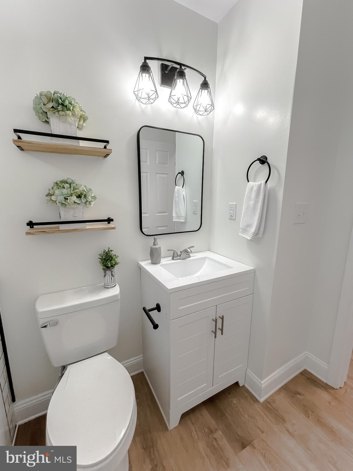 8285 Verne Place Welcome, MD 20693 - Photo 28 of 54 a bathroom with a toilet a sink and mirror