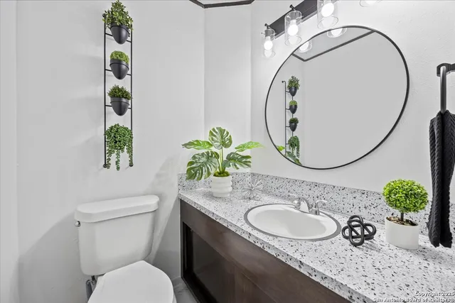 a view of a livingroom with furniture and a potted plant