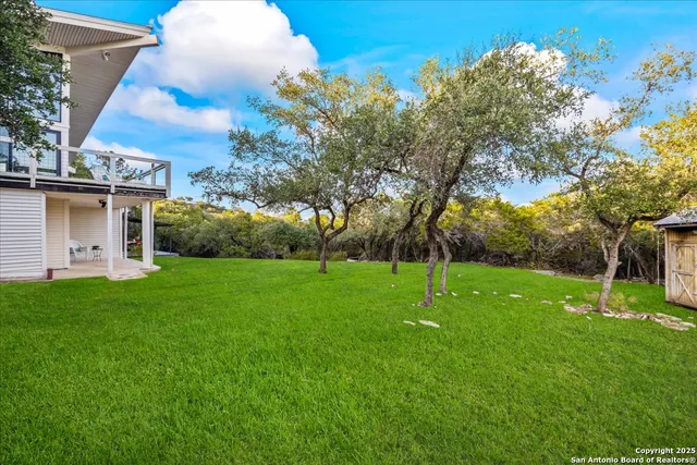 a view of a yard with a tree