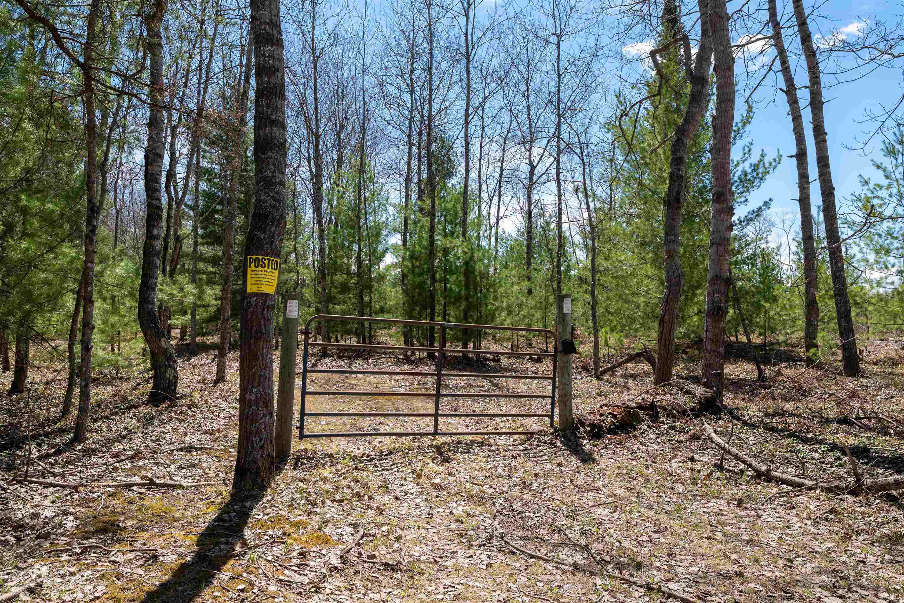 Vl Kolarvic Road Manton, MI 49663 - Photo 5 of 28