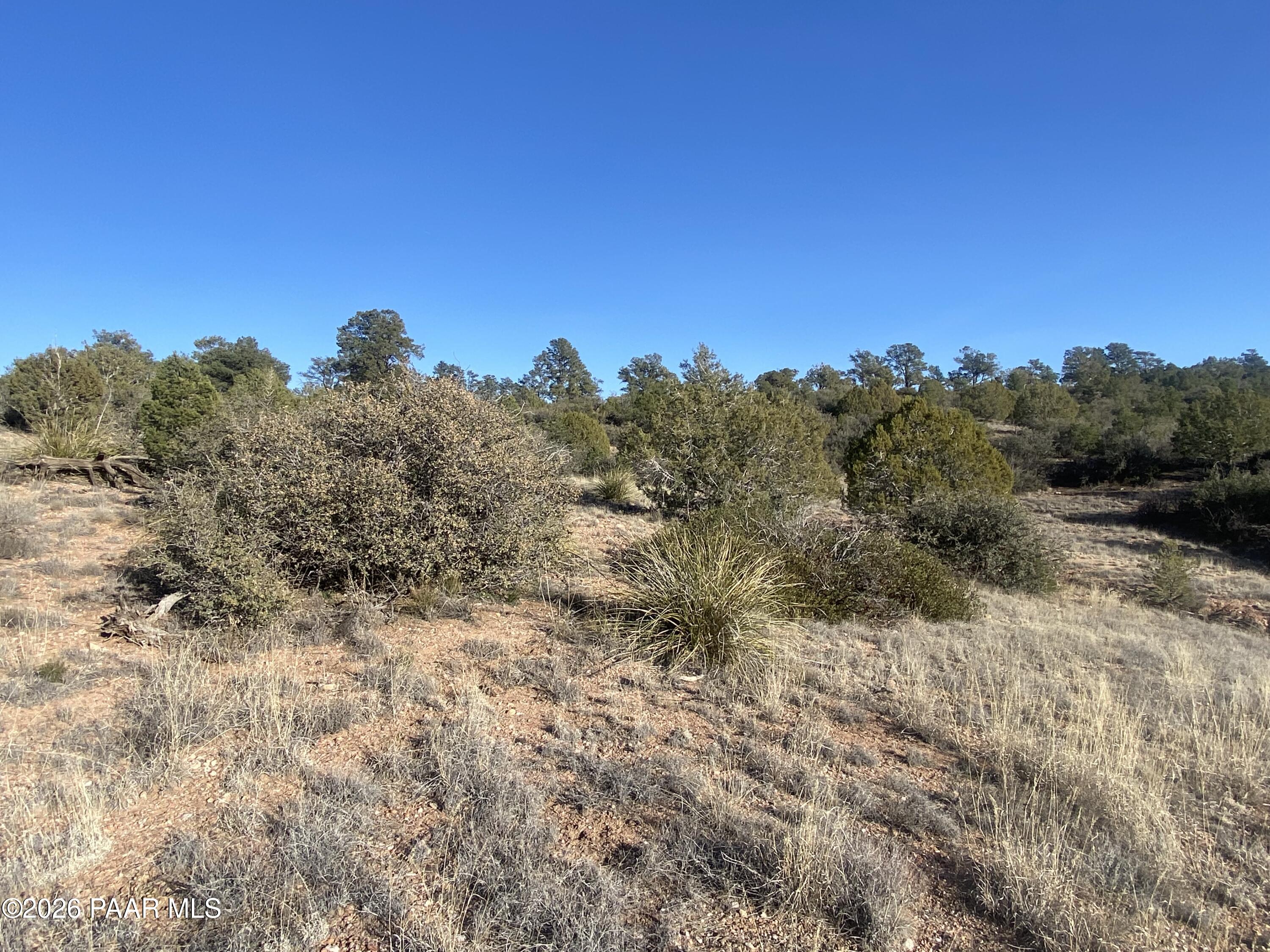 15407 Crossroads Ranch Road Prescott, AZ 86305 - Photo 5 of 11 Crossroads5