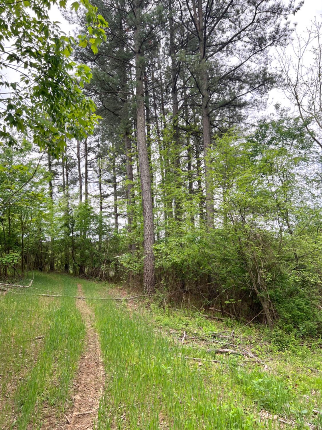 0 Spohn Road Jackson, OH 45640 - Photo 28 of 76