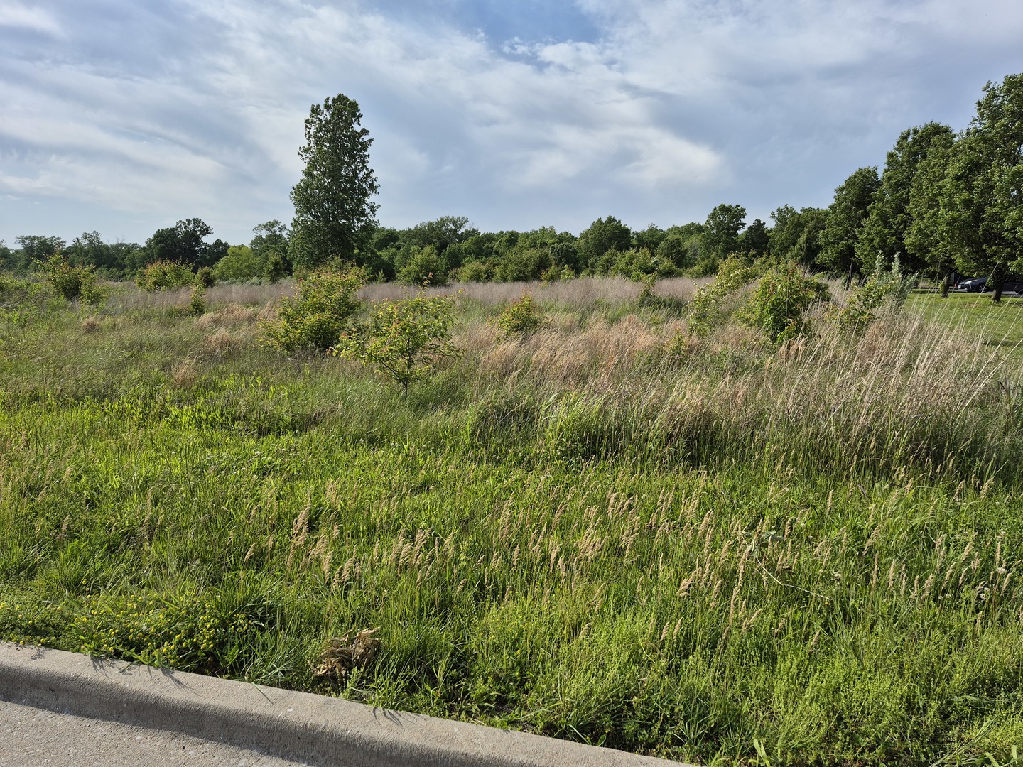 0 Reed Station Parkway Carbondale, IL 62901 - Photo 2 of 3 a view of a lake with a building in the back