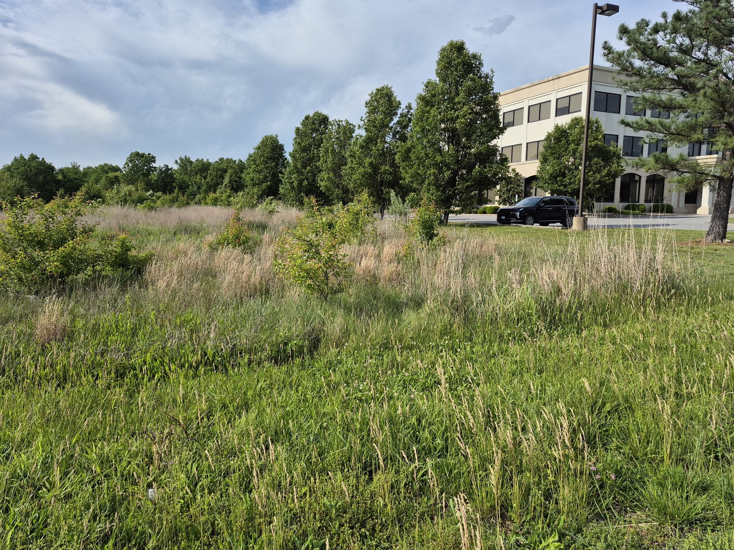 0 Reed Station Parkway Carbondale, IL 62901 - Photo 3 of 3 a view of outdoor space and yard