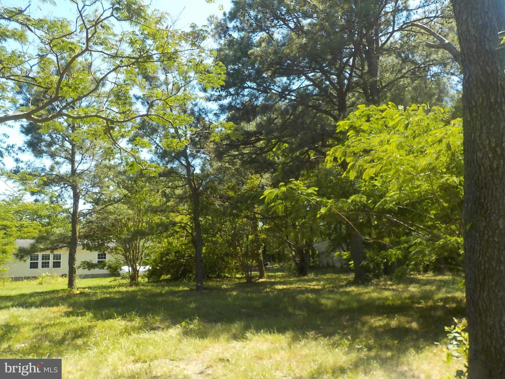 2240 Elliott Island Road Vienna, MD 21869 - Photo 20 of 26 Rear yard