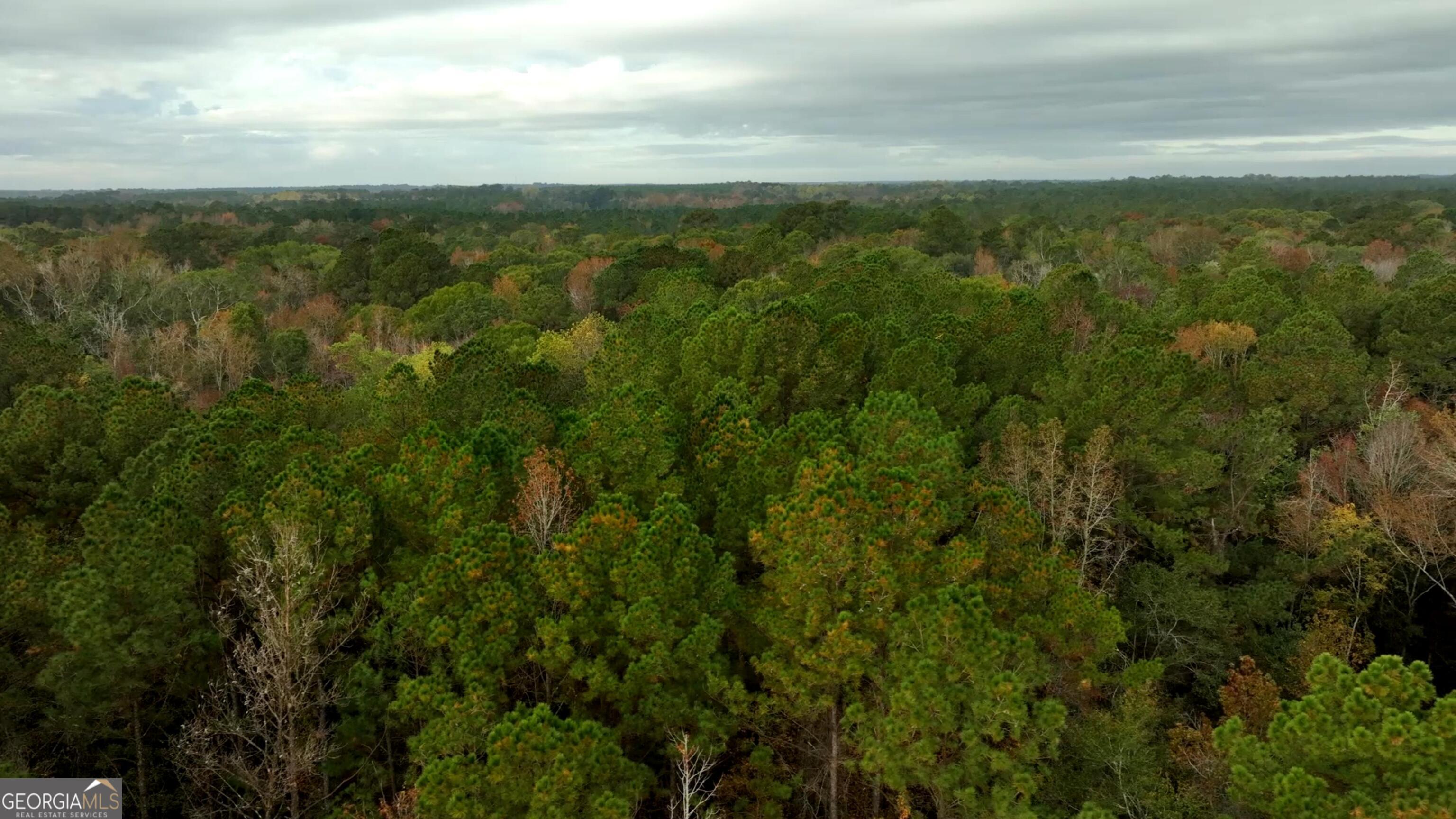 0 Twin Forks Rd/martin Road, Unit TRACT 3 Statesboro, GA 30458 - Photo 5 of 10 Gallery Image 5