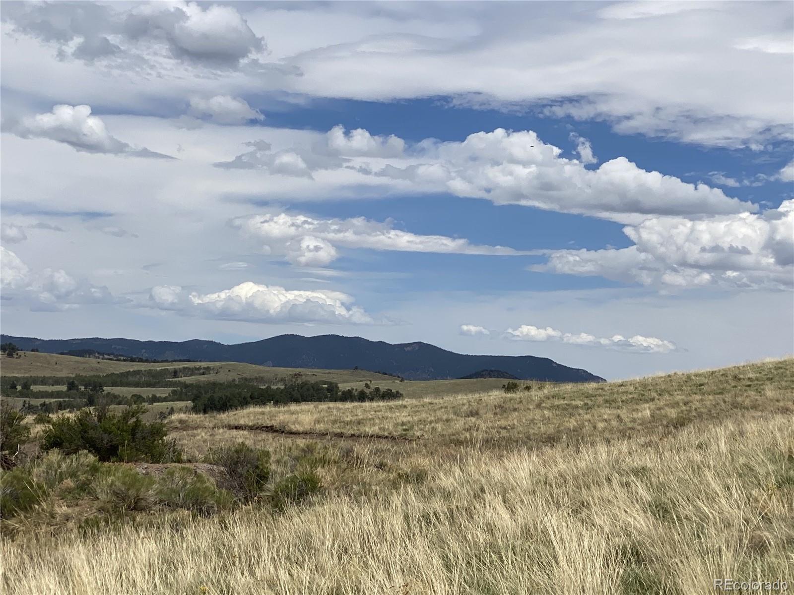 341 County Road Westcliffe, CO 81252 - Photo 12 of 13
