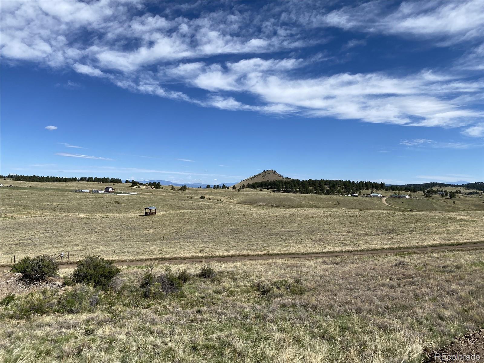 341 County Road Westcliffe, CO 81252 - Photo 4 of 13