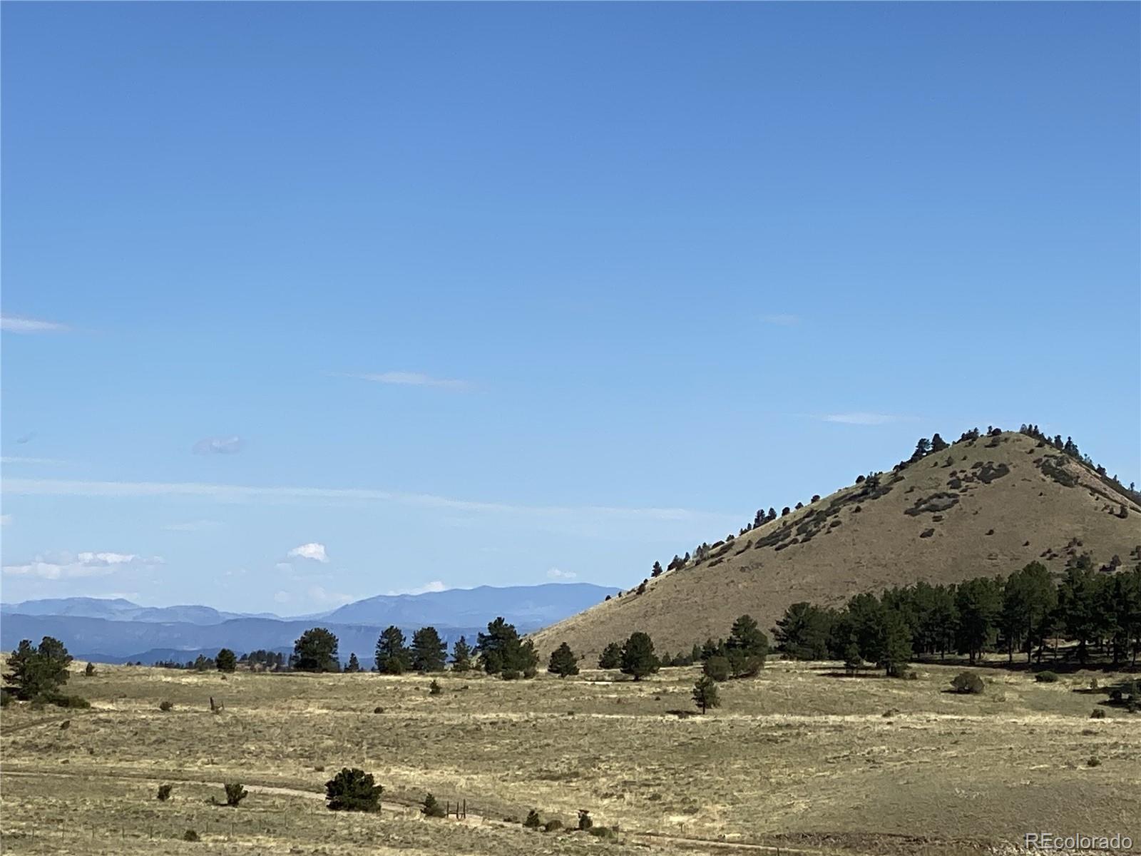 341 County Road Westcliffe, CO 81252 - Photo 8 of 13