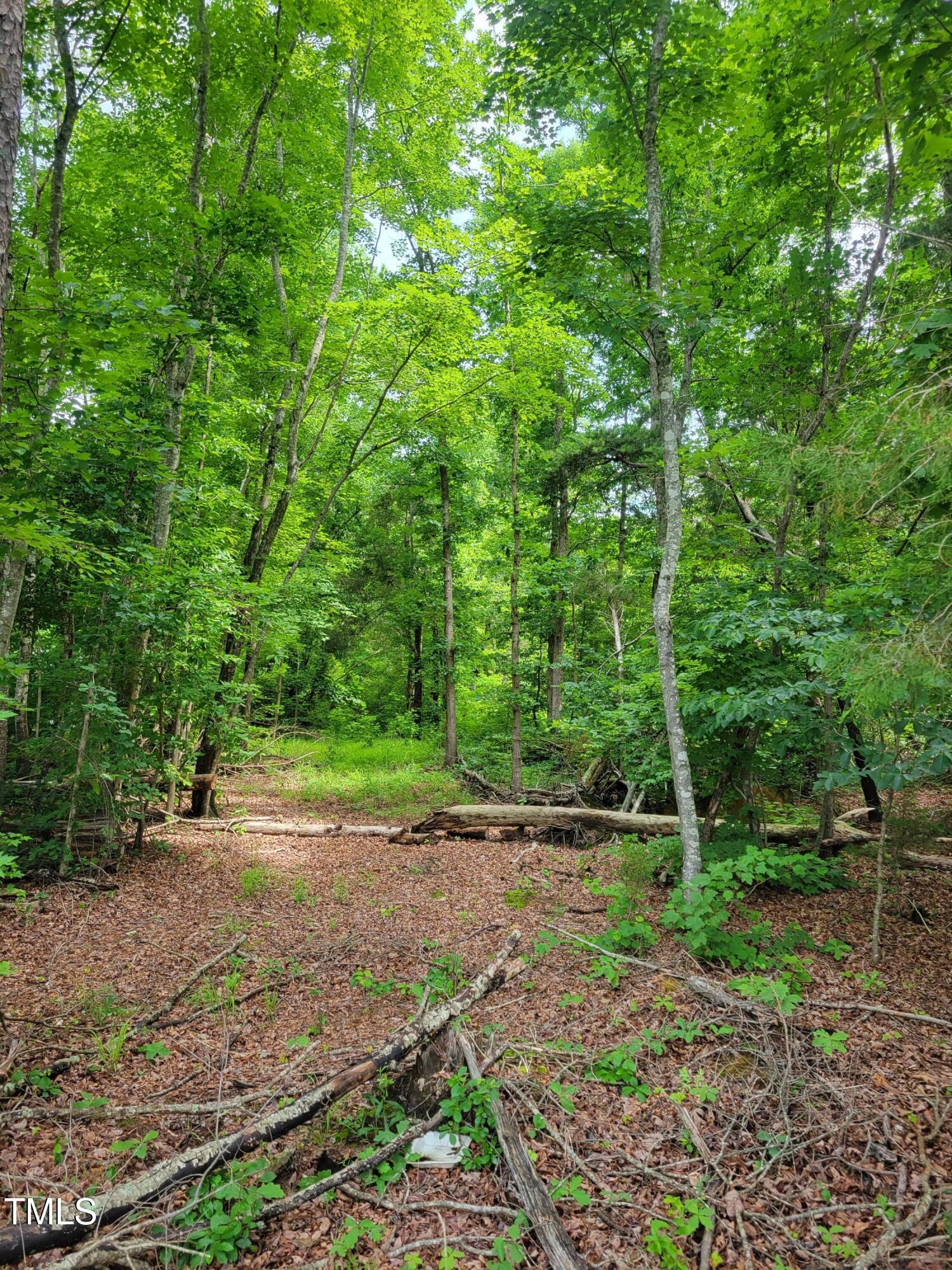 0 Major Hill Road Snow Camp, NC 27349 - Photo 3 of 3 a view of outdoor space with deck and yard