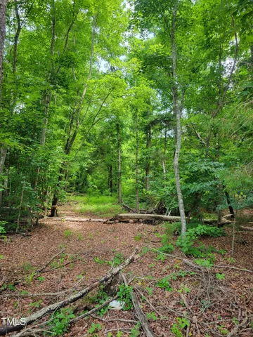 $175,000 | 0 Major Hill Road, Snow Camp, NC 27349
