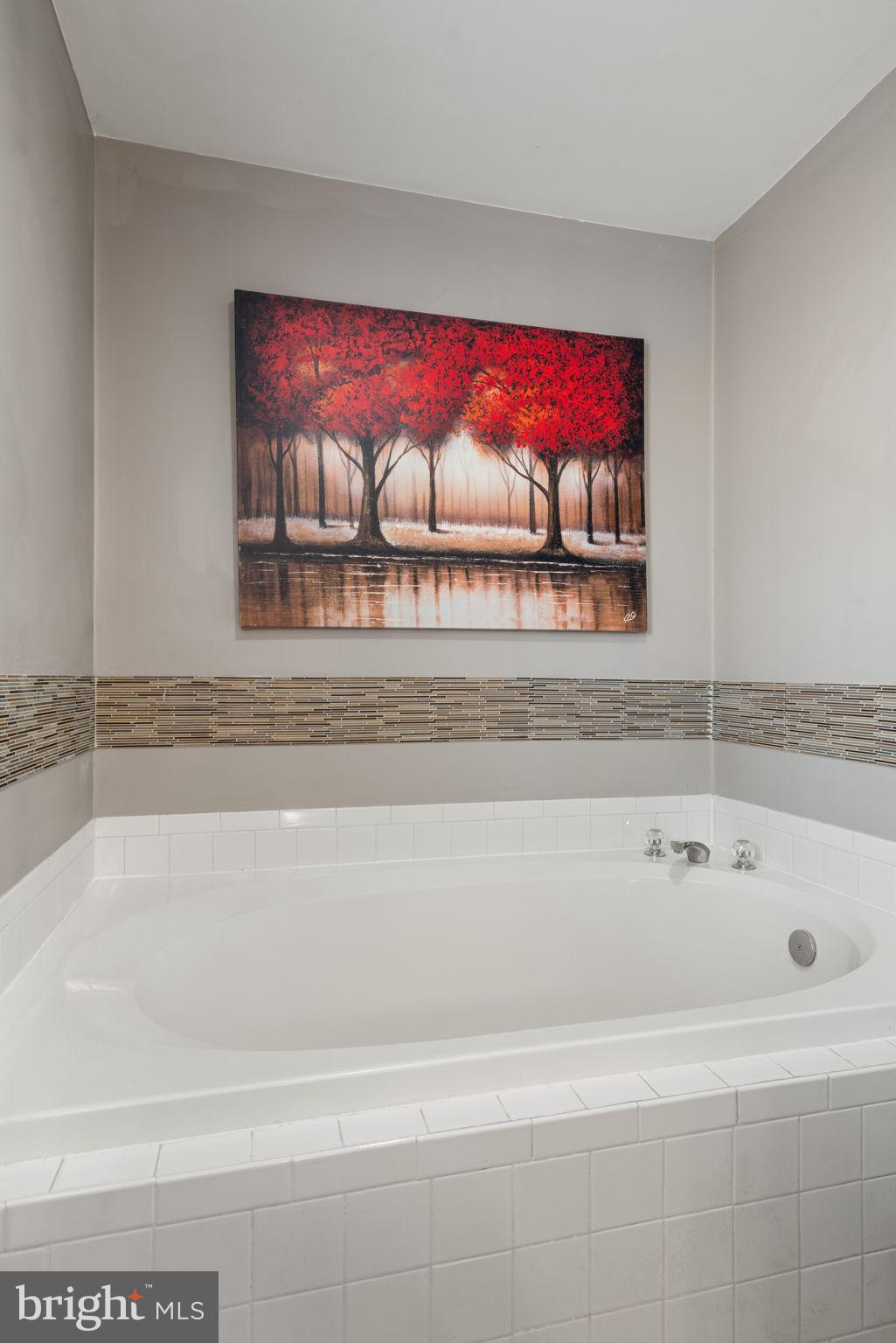28485 Morel Way Rhoadesville, VA 22542 - Photo 26 of 42 a bathroom with a bathtub and window
