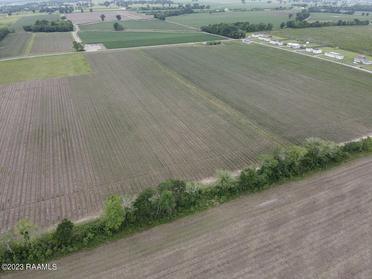 Tba Albert Road Abbeville, LA 70510 - Photo 3 of 7