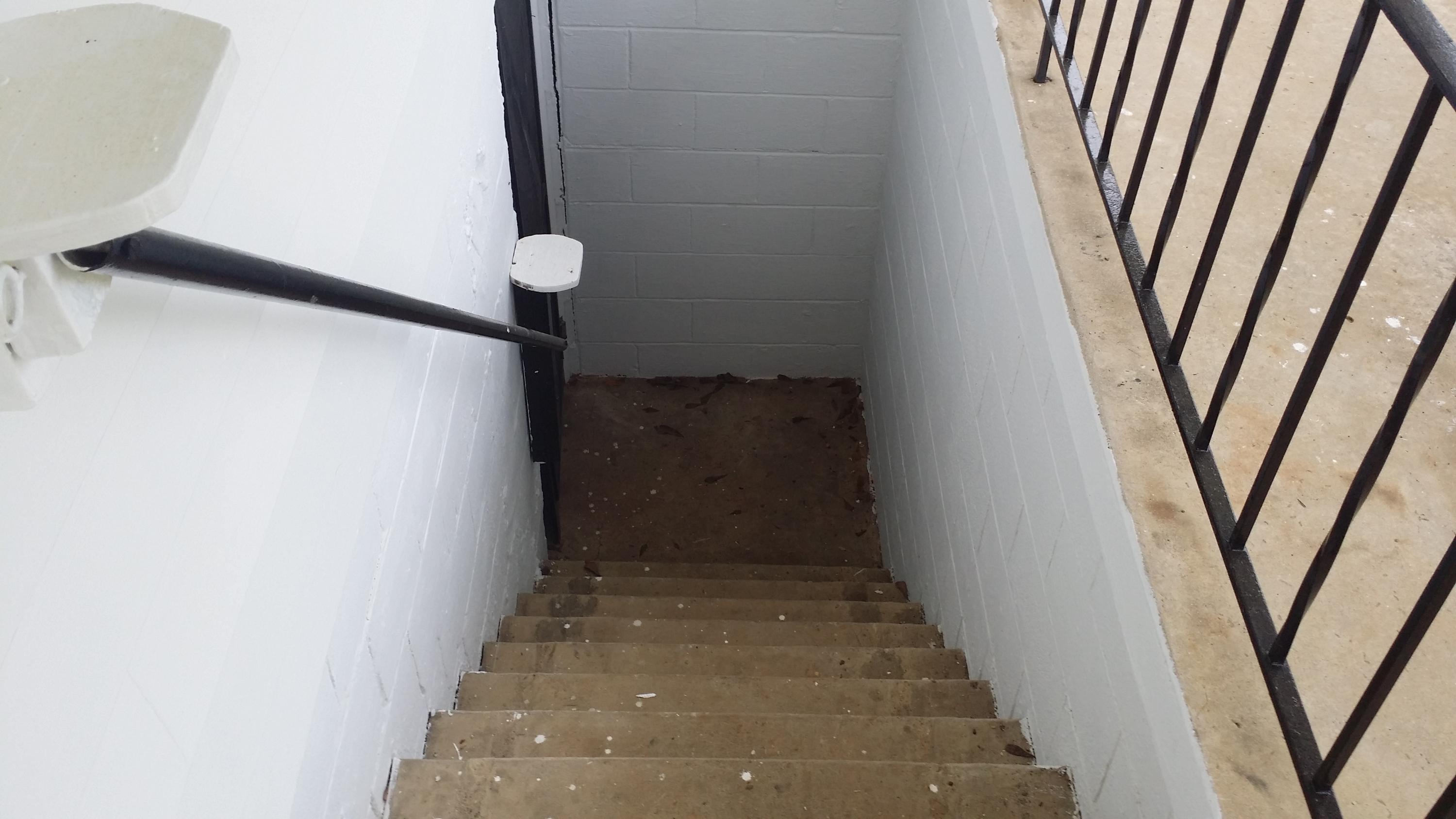103 Panama Road Oak Ridge, TN 37830 - Photo 17 of 24 Steps to basement from front porch