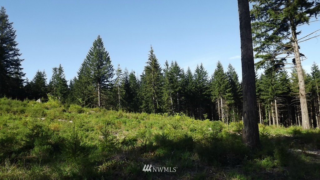 32 Schmitz Road Kalama, WA 98625 - Photo 8 of 10 Gallery Image 8